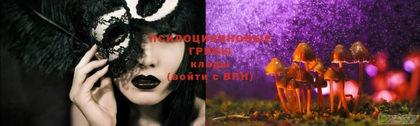 мяу мяу мука Балахна