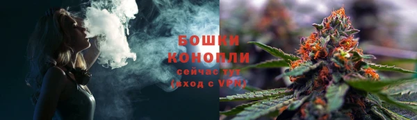 эйфоретик Няндома