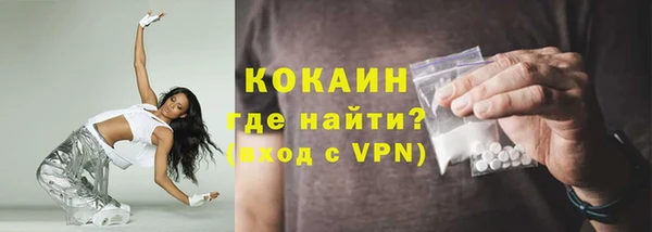эйфоретик Няндома