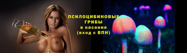 эйфоретик Няндома