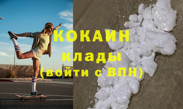 эйфоретик Няндома
