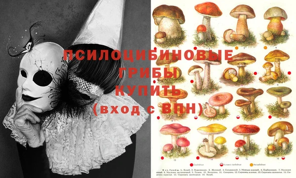 эйфоретик Няндома