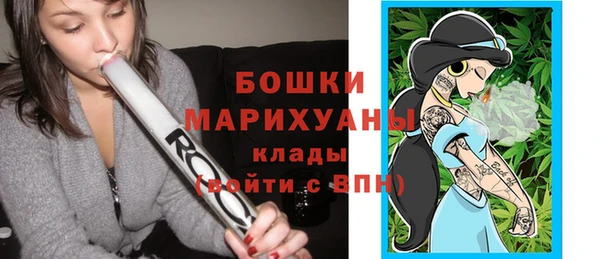 ECSTASY Осинники