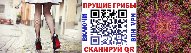 blacksprut ссылка  Орск  Галлюциногенные грибы Cubensis 